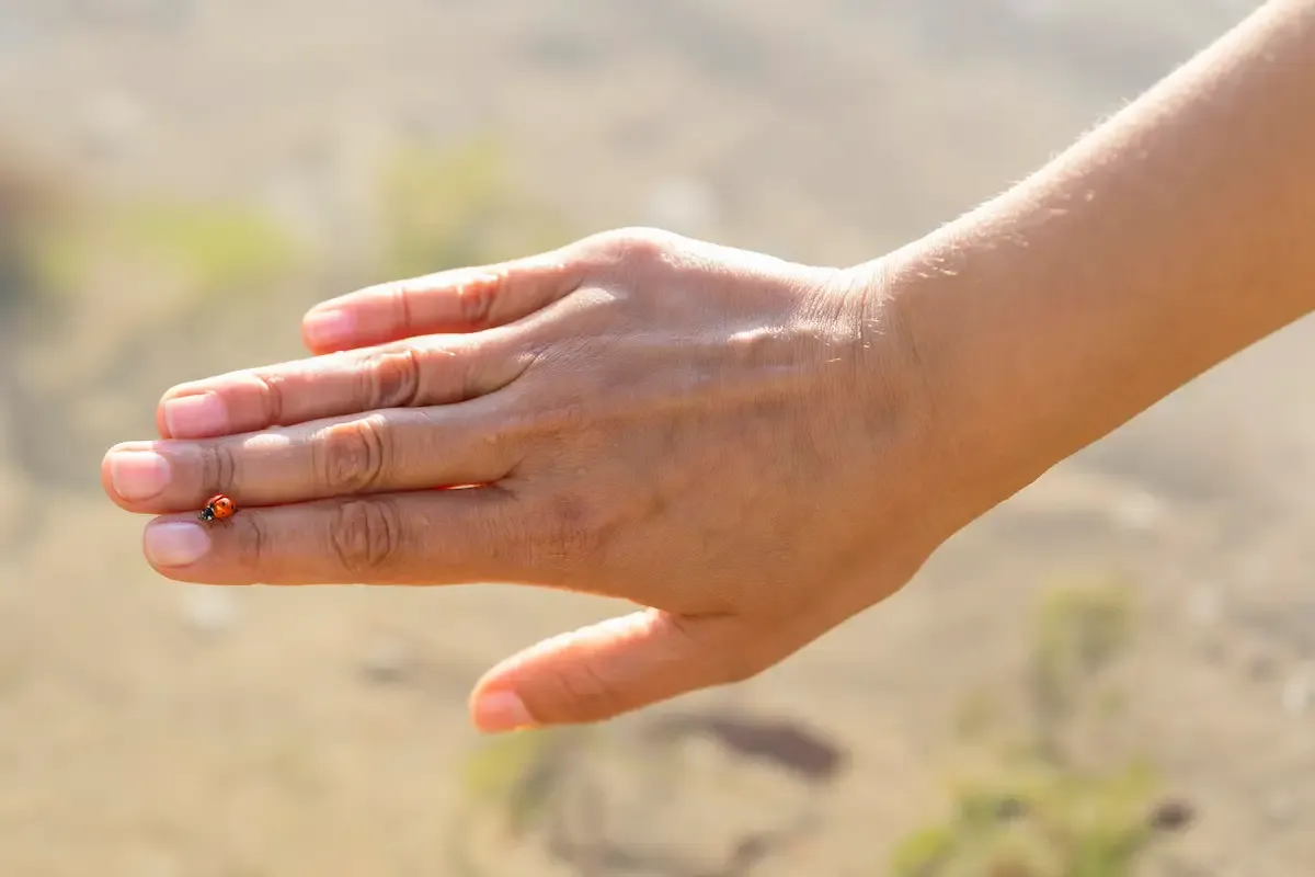 Torção No Dedo Da mão: O Que Fazer E Quando Tratar